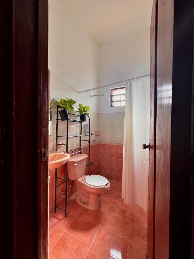 Alena Hostal Valladolid  Exteriér fotografie